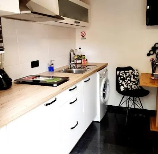 Apartma R.i.s.-rest In Siska Duplex *